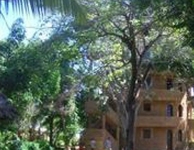 The Sands At Chale Island