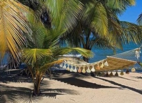 Kanantik Reef and Jungle Resort