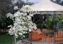 Domaine Tarik