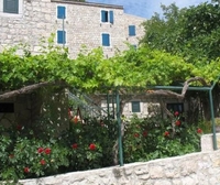 Фото отеля Natura Vita