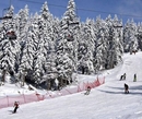 Фото Grand Kopaonik