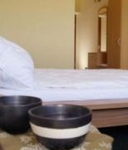Arta Hotel Timisoara
