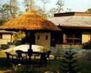 Фото Rhino Residency Resort Chitwan