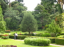 Ботанический сад.
