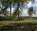 Фото The Woods at Palmas del Mar