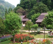 Angkhang Nature Resort