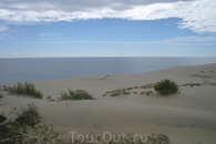 Эта дюна уже более 100 лет не меняет свою высоту , форму и месторасположение.
