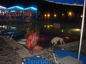 А ночью в бассейне купаются местные собаки)