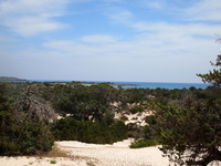 о.Криси... о.Криси...