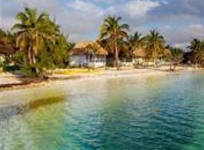 Blackbird Caye Resort