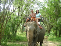 22 декабря 2010. Квай. Elephant Rides.