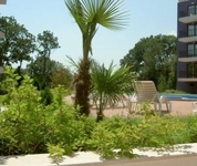 Amfora Palace (Амфора Палас) Amfora Palace (Амфора Палас)