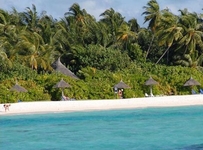 Vilu Reef Beach & Spa Resort