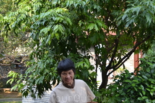 Сад 10 ароматов. Сад 10 ароматов.