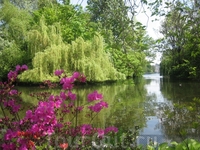 St. James's Park.