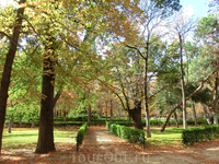 Нам очень повезло с погодой, по солнышку так приятно прогуляться в парке.