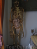 Позолоченный скелет гориллы и копия статую Бернини "Экстаз Святой Терезы"