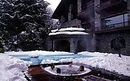 Фото Mont Blanc Hotel Village