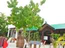 Фото HappyLife Maldives Safari Lodge