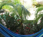 Aruba Tropic Apartments