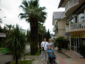 Красивая улица со старыми пальмами по которой мы ходили каждый день нашего пребывания в Лазаревском.