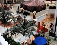 Intercontinental Intercontinental