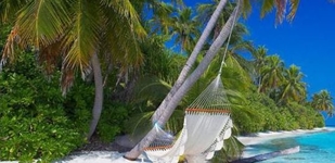 Lux Maldives (ex.Diva Resort and Spa)