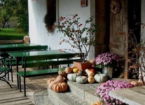 Domačija Novak Domačija Novak