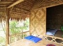 Фото Amazon Bungalow