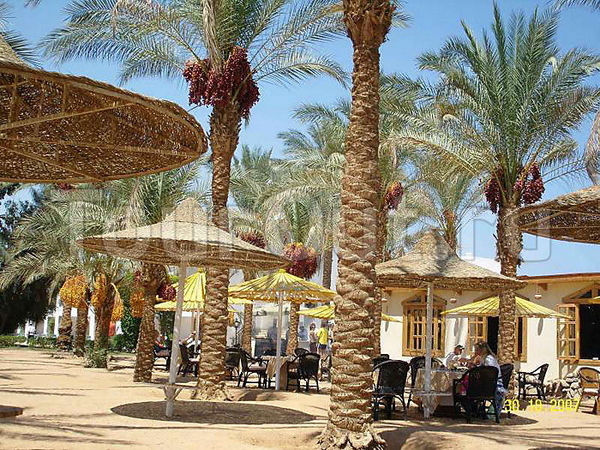 Dessole Seti Sharm Resort