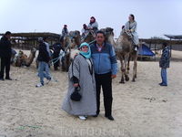 Прогулка на верблюдах в Сахаре