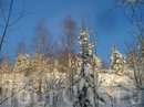 Окресности Сегозера в зимнюю ясную погоду (когда морозы).