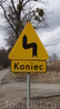 От дорожных знаков в Польше порой улыбка сама лезет на лицо)) Вот этот например знак я назвал "Есть чем похвастать"