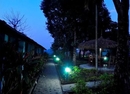 Фото Chitwan Forest Resort