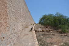 В Айя-Напе В Айя-Напе