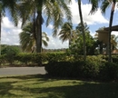 Фото The Woods at Palmas del Mar