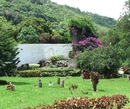 Фото Kalima Suites