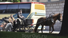Прогулка по городу Прогулка по городу