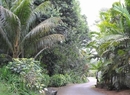 Фото Kokogrove Chalets