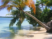 Карибский пейзаж