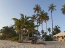 Фото Emerald Palms