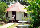 Фото Negril Yoga Centre