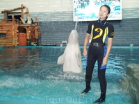 шоу белуг и дельфинов