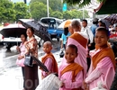 Дети-монахи ждут автобуса на остановке
