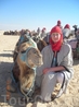 Поездка на верблюдах в Сахаре