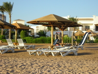 Пляж и Отель Grand Seas Resort Hostmark 5
