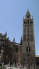 Sevilla - Catedral- Giralda