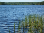 Медное озеро