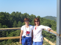 Панорама