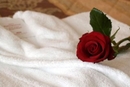 Фото Crowne Plaza